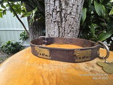 cattle dogs for sale cattle dogs for sale Hollywood