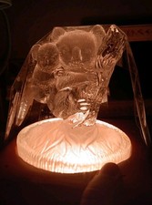 Vintage glowing koala for sale  Harrisburg
