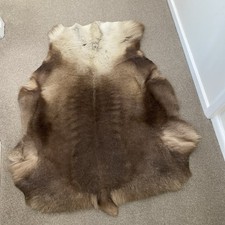 Reindeer hide rug for sale  RETFORD