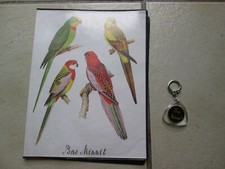 Bas nylon minuit d'occasion Bas nylon minuit d'occasion  Beauvais