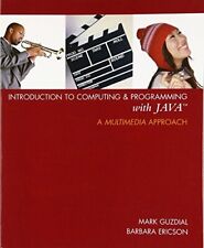 Introduction computing program for sale  USA