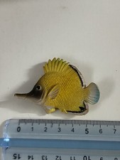 Calmata pesce usato  Gallarate