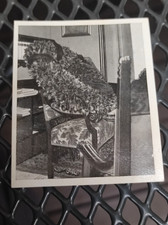 Ww1 hindenburg 1934 d'occasion  Expédié en Belgium