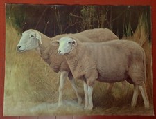 Grande peinture ancienne. d'occasion  Origny-Sainte-Benoite
