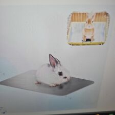 Cooling pad bunny for sale  WARE