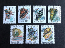 1247 53 meeresmuscheln gebraucht kaufen  Nordkirchen