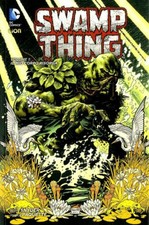 Swamp thing mio usato  Avellino