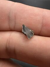 Nautile beak from d'occasion  Expédié en Belgium