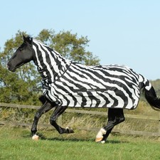 Bucas 155 zebra gebraucht kaufen  Siegen