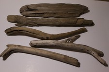 Natural beach driftwood for sale  Greentown