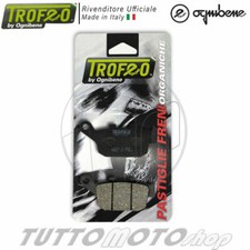 Coppia pastiglie freno usato  Serra d'Aiello