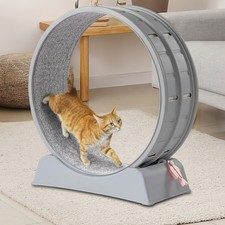 Cat exercise wheel for sale  Flanders