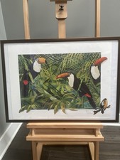 Jason denaro toucan for sale  Plainfield