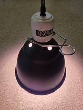 Exo terra light for sale  ALFRETON