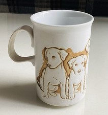 Labrador retriever puppies for sale  SWANSEA