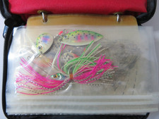 Lot spinnerbait fishing for sale  Florence