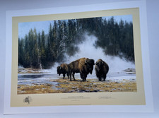 Hot springs yellowstone for sale  MARKET RASEN