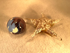 star shapped paperweight for sale star shapped paperweight for sale Port Richey