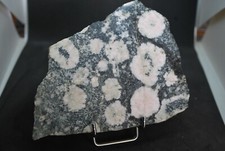 Diorite orbiculaire rose d'occasion  Sainte-Maxime