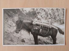 Pony balkan pack for sale  DALKEITH