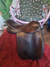 Jeffries working hunter for sale  PERTH