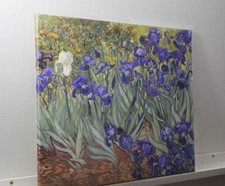 Reproduction toile iris d'occasion  Auneau