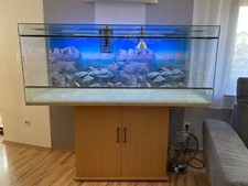 Terrarium 150x60x60 gebraucht kaufen  Eichenzell