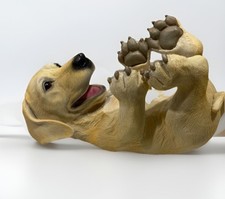 Golden labrador retriever for sale  Lexington