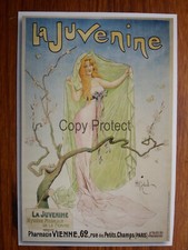 Juvenine hygiéne féminine d'occasion  Beaumont-de-Lomagne