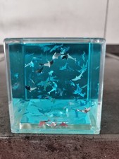 Schüttel würfel delfine gebraucht kaufen  Reutlingen