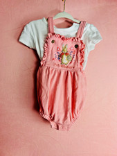 Peter rabbit months for sale  CHESTERFIELD