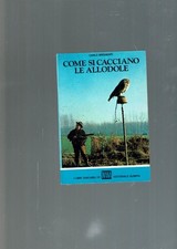 Come cacciano allodole usato  Italia