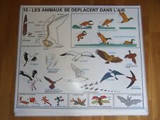Affiches scolaires sciences d'occasion  Villeurbanne