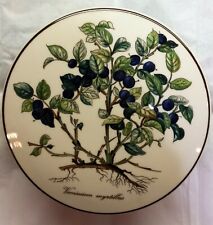 Villeroy boch candy for sale  Jessieville