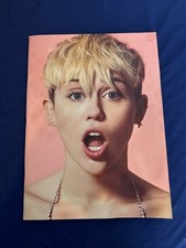 MILEY CYRUS - 2014 BANGERZ TOUR LIVRO DE PROGRAMA DE CONCERTOS - BOM ESTADO RARO, usado comprar usado  Enviando para Brazil