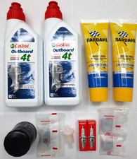 Kit tagliando motore usato  Vibo Valentia
