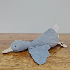 Muslin duck goose for sale Muslin duck goose for sale  NORWICH
