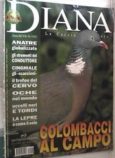 Diana 2003 colombacci usato  Salerno