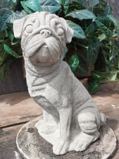 Cute pug dog for sale  Galt
