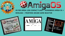 Amiga frontend arcade usato  Eboli