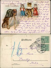 Tiere als menschen gebraucht kaufen Tiere als menschen gebraucht kaufen  Ortrand