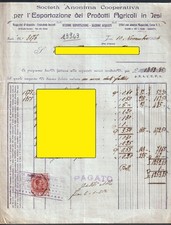 13943 societa anonima usato  Trecastelli