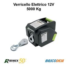 Verricello elettrico 12v usato  Spadola