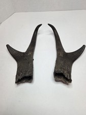 Anrelope pronghorn shed for sale  Bozeman