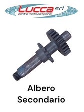 Fm101088 albero secondario usato  Qualiano