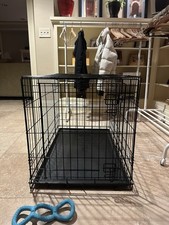 Everyyay large dog for sale  Portland
