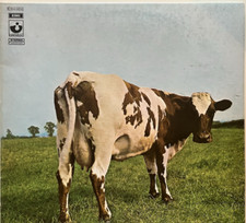 Pink floyd atom usato  Verona