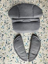 Babystyle oyster fossil for sale  NOTTINGHAM