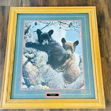 High adventure black for sale  Duncan