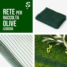 Rete raccolta olive usato  Bientina